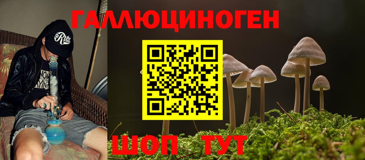 Ачхой-Мартан  Галлюциногенные грибы GOLDEN TEACHER  Галлюциногенные грибы Magic Shrooms  Вход с VPN 